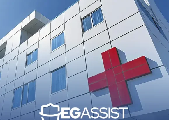 EG Assist