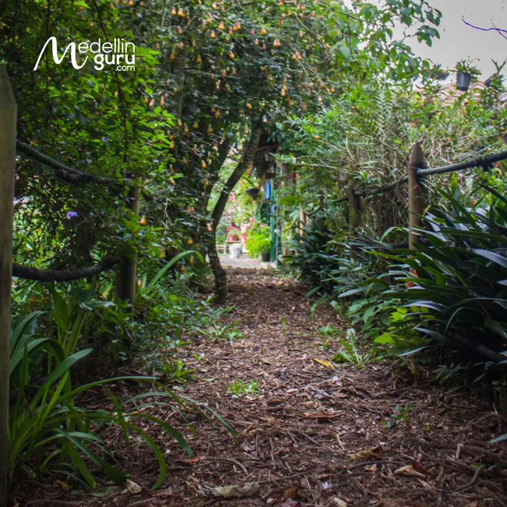 The ecological trails allow you to know the native fauna and flora of the region