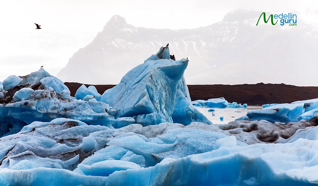 Glistening iceberg fragments resembling diamonds resting on the black sand beach of Jökulsárlón in Iceland.